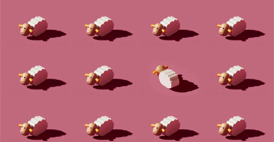 « Les autres ne sont pas des gens comme nous » le nouvel ouvrage de J